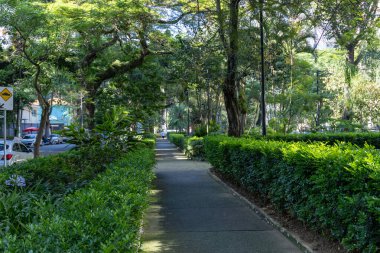 Vila Nova Conceicao mahallesindeki Pereira Coutinho Meydanı,