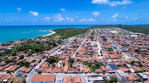 Вид Воздуха Пляж Bahia Formosa Rio Grande Norte Бразилия Стоковая Картинка