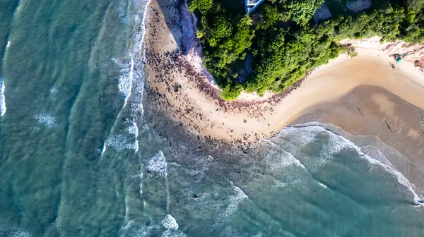 Αεροφωτογραφία Της Παραλίας Bahia Dos Golfinhos Στο Tibau Sul Rio Εικόνα Αρχείου