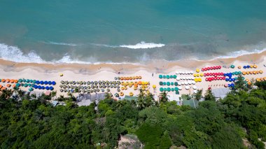 Madeiro sahilinin havadan görünüşü, Tibau do Sul, Natal, Rio Grande do Norte, Brezilya. Sunshade üst görünümü.