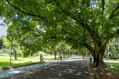 Sao Paulo, SP, Brezilya - 03, 2024: Sao Paulo, SP, Brezilya 'daki Ibirapuera Parkı.