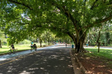 Sao Paulo, SP, Brezilya - 03, 2024: Sao Paulo, SP, Brezilya 'daki Ibirapuera Parkı.