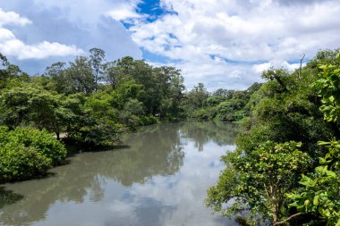 Sao Paulo 'daki Ibirapuera Park, SP, Brezilya.