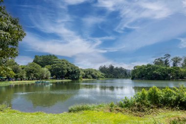 Sao Paulo 'daki Ibirapuera Park, SP, Brezilya.