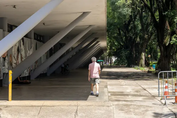 Σάο Πάολο Βραζιλία 2024 Μουσείο Αφρο Στο Πάρκο Ibirapuera Στο Εικόνα Αρχείου