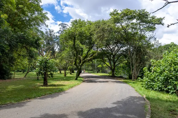 Πάρκο Ibirapuera Στο Σάο Πάολο Βραζιλία Royalty Free Φωτογραφίες Αρχείου