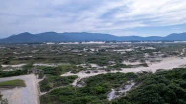 Florianopolis 'teki Joaquina plajı, Santa Catarina, Brezilya.