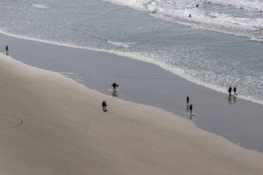 Guaruja 'daki Praia da Pitangueiras Sörfçüleri, Sao Paulo.