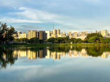 Sao Paulo 'daki Ibirapuera Parkı, SP. Çevredeki yerleşim yerleri. Ibirapuera Parkı 'ndaki göl.