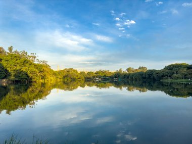 Sao Paulo, SP, Brezilya 'daki Ibirapuera Parkı' nda yenilenmiş köprü..