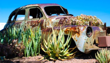 old rusty car garden