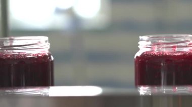 Böğürtlen reçeli fabrikası. Taşıyıcı satır