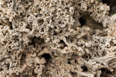 Kaba mercan dokusuna yakın çekim. Doğal organik soyut arkaplan