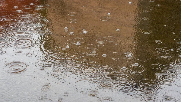Regendruppels Het Oppervlak Van Asfaltweg Een Regenplas Water Concentrische Cirkels — Stockfoto