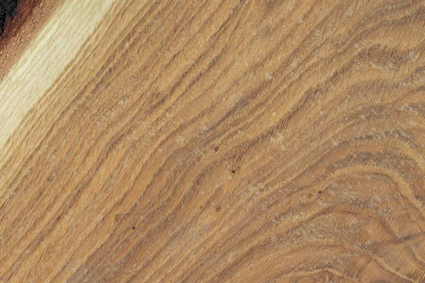 Background Oak Wood Surface Natural Pattern Wood Layers Annual Growth Stock Image