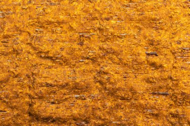 Golden-toned dried seaweed algae. Sushi nori sheet texture. Golden background