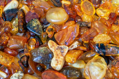 Random lot of polished amber stones with their unique colors. Gold of the Baltic Sea
