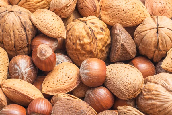 Ceviz, fındık, badem ve Brezilya fındığı içeren karışık fındık sepeti. Çeşit çeşit ceviz.