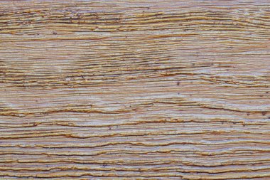 Gerçekçi ahşap efektli plastik kaplama panel. Parke desenli muşambanın kapanışı