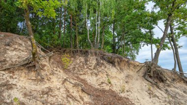 Sandy Cliff, Polonya, Wilcza Wola 'daki Maziarnia Gölü' nün etrafında bulundu.