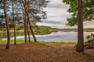 The Maziarnia Water Reservoir in Wilcza Wola in Kolbuszowa County, Poland clipart