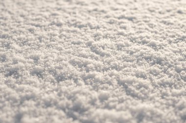 Kar tanelerine odaklan. Kış arkaplanı