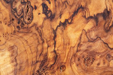 Zeytin ağacının dokusu. Doğal ahşap zemin