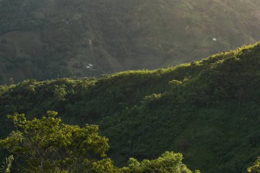 Kolombiya 'nın Quinchia-Risaralda şehrinin kırsal kesiminde güzel bir Kolombiya dağ manzarası. Güney Amerika çiftliklerinde güneşli bir günde yaz öğleden sonra.
