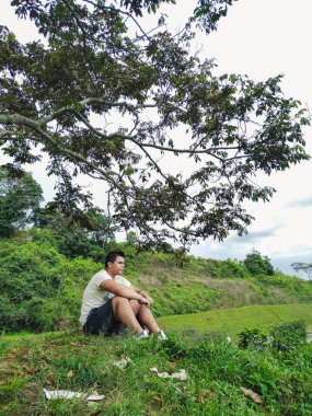 Genç Latin bir adam dağın tepesinde oturmuş güzel yeşil Kolombiya manzarasına bakıyor, bir ağacın altında oturan adam.