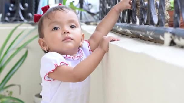 Όμορφο Μωρό Λατίνα Καφέ Δέρμα Πολύ Περίεργος Προσπαθώντας Αρπάξει Matero — Αρχείο Βίντεο