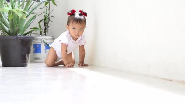 Latina Baby Playing Dirt Standing Little Girl Learning Walk Balcony — Stockvideo