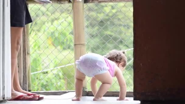Latynoskie Dziecko Uczy Się Chodzić Stoi Obok Starszej Siostry — Wideo stockowe