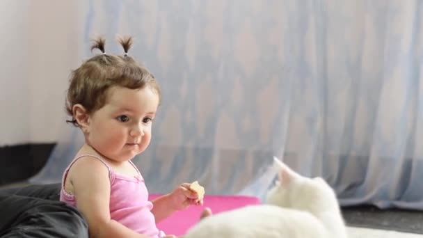 Linda Latina Bebê Sentado Chão Brincando Com Seu Gato Branco — Vídeo de Stock
