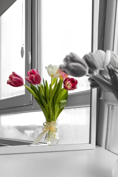 A bouquet of tulips in a glass vase with a bow. Color display of black and white flowers