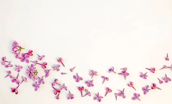 Scattered petals of lilac flowers on a white background, top view, place for text