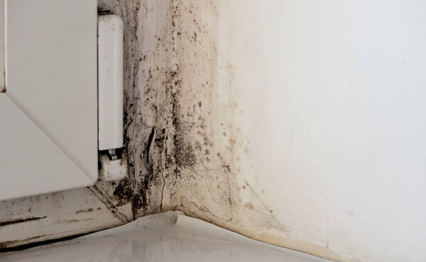 Mold, fungus on the slope of the wall. Black mold on white wall near window close up