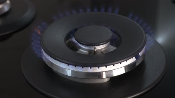 天然气用蓝色的火焰在炉子上燃烧 厨房煤气炉 燃气炉 气化的概念 — 图库视频影像