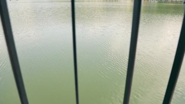 通过金属栅栏对池塘中的水波进行特写 风吹来的小浪 — 图库视频影像
