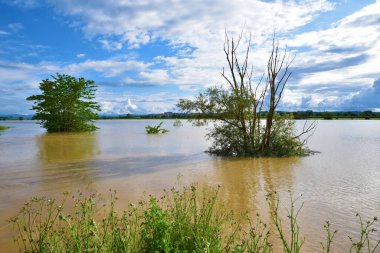 Acqua in piena alle Colmate, Valdichiana