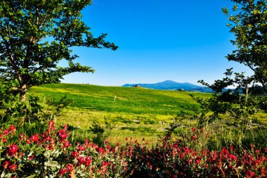 La bella e pittoresca campagna senese