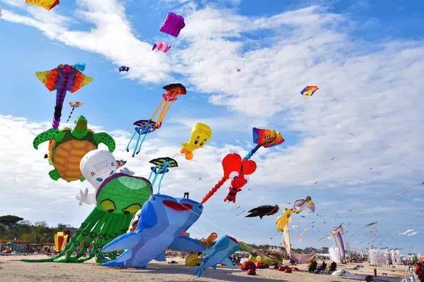 Festa degli aquiloni, Cervia