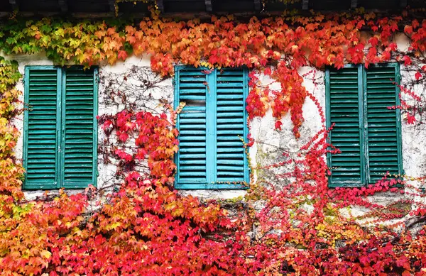 Valdichiana 'da Autunno, Toscana