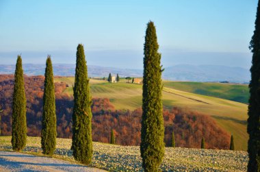 Kampagna senese, Toscana, Italia