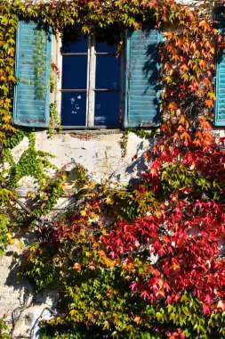 Toscana 'da Casale e rampicanti