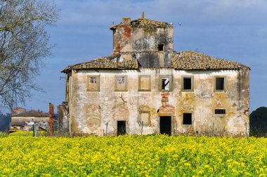 Tecavüz vakası, Toscana.