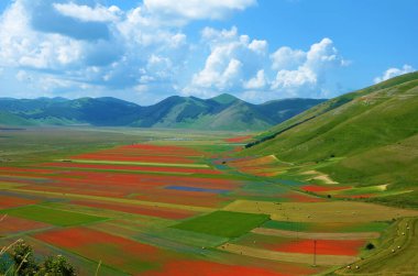 Castelluccio di Norcia, rara bellezza