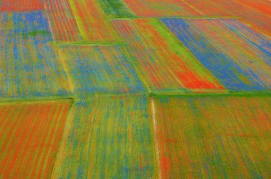 Castelluccio di Norcia, rara bellezza