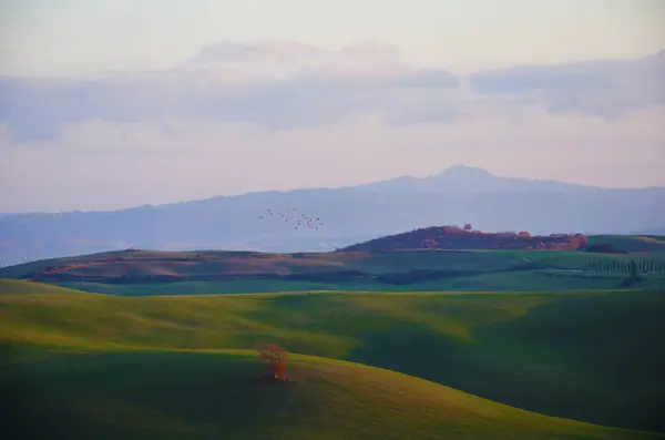 Kampagna senese, Toscana, Italia