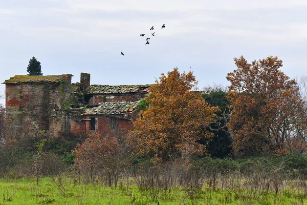 Casa dirocata in campagna, Toscana