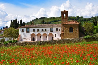 Eski papaveri, Toscana